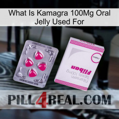 What Is Kamagra 100Mg Oral Jelly Used For 32